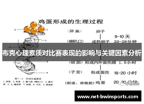 布克心理素质对比赛表现的影响与关键因素分析