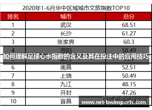 如何理解足球心水指数的含义及其在投注中的应用技巧