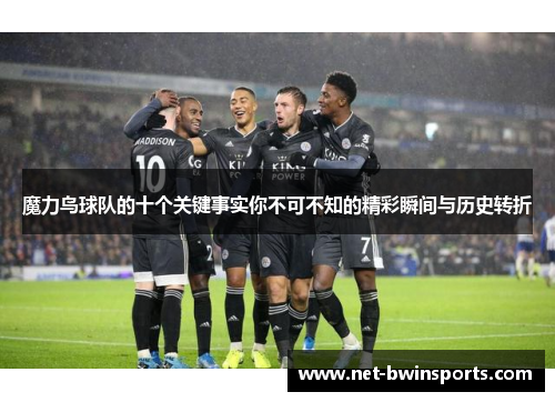 魔力鸟球队的十个关键事实你不可不知的精彩瞬间与历史转折